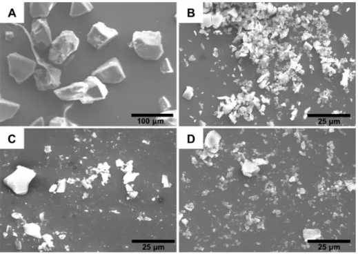 Figure 3. SEM images of (A) Si, (B) Si-Py + , (C) NCTPP-Si and (D) NCTPP-Si-Py + .