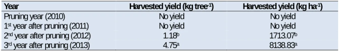 Table 1.  Influence of the year in olive harvested yield. 
