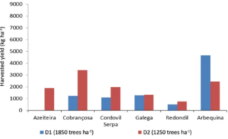 Figure 2 shows the great variability found in yield per hectare, in 2012 (2 nd  year after  pruning), for each cultivar  and planting density
