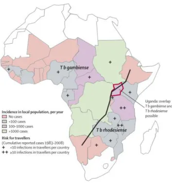 Figure 1.1. HAT distribution with incidence and risk for travellers indicated. Black line separate the T.b