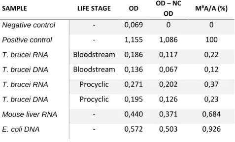 Table 3.2. Detection of m 6 A in RNA and DNA samples. OD represents optical density, NC represents negative control