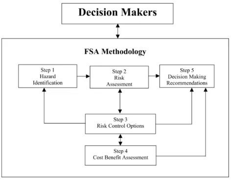 Figure 7 - Flow chart of the FSA methodology (IMO, 2002b). 