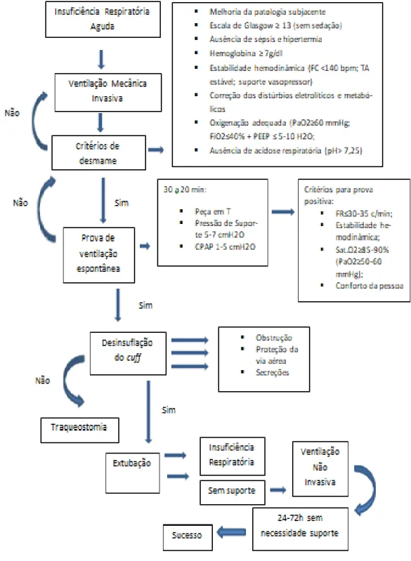 Figura 1 - Protocolo de desmame ventilatório na VMI (adaptado de Severino, 2016) 