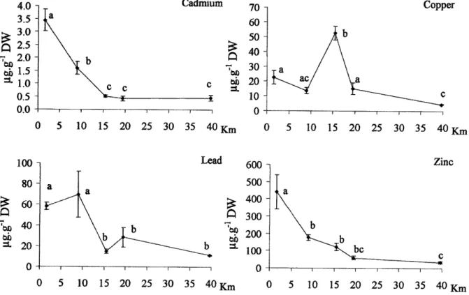 Fig.  2.  Concentrations  (mean  t  süandard  deviation,  n-3)  of  heavy  metal  in  sediments collected at  each  sampling  station located along  the Sorfiord  (see  Table  1  for  relation with  distances  from  the  head  of  the  for$