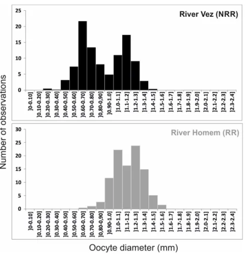 Figure  5.  Size‐frequency  distribution  of  oocytes  (mean  number  of  observations  per  size  class,  considering  all  sub‐samples  analysed)  from  female  chubs  caught  in  the  two  studied  populations/rivers during the peak of the respective re