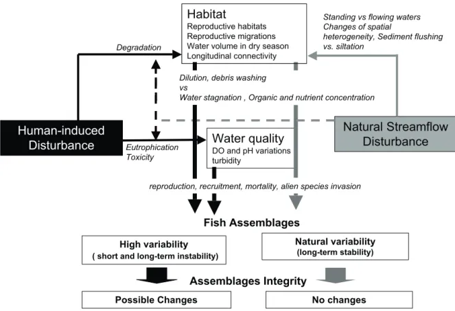 Fig. 6. Potential anthropogenic and hydrological mechanisms determining variation in ﬁsh assemblages.