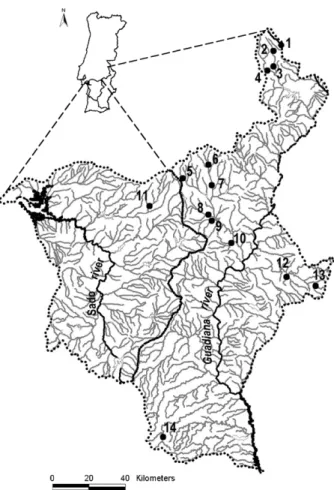 Fig. 2. Location of sampling sites in small southern Portuguese streams form Gua- Gua-diana and Sado river basins: 1 – Cbx, 2 – Alg, 3 – Mos, 4 – Asm, 5 – Gar, 6 – Fqm, 7 – Sdg, 8 – Azb, 9 – Pec, 10 – Ami, 11 – Val, 12 – Saf, 13 – Mtg, 14 – Vas.