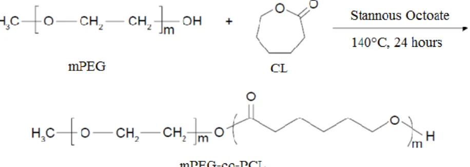 Figure  2.1  -  Schematic  representation  of  methoxy  polyethylene  glycol  (mPEG)  and  ε-caprolactone  (CL)  copolymerization, to form copolymer mPEG-co-PCL, adapted from Xiong et al., 2015