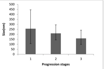 Figure  4.3  -  Representation  of  size  ranges  obtained  for  the  principal  stages  of  optimization,  ordered  by  progression (ascending from 1 to 3)