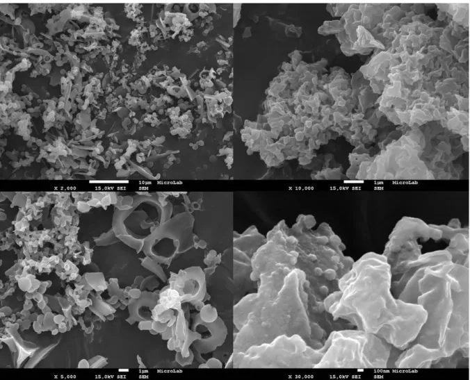 Figure  4.5  –  FEG-SEM  images  obtained  from  samples  obtained  during  optimization  stages  of  mPEG-co-PCL  nanoprecipitation