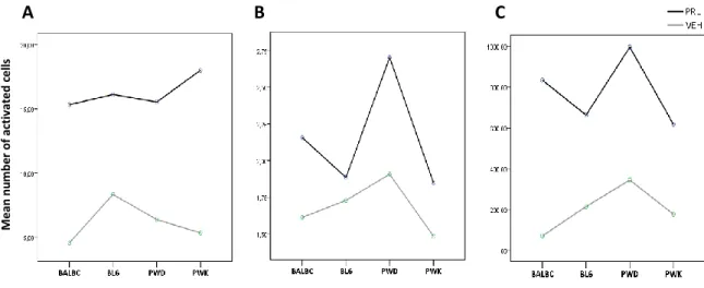 Figure  16.    Mean  number  of  pSTAT5  cell  activation  of  A)  MPOA,  B)  PVN  and  C)  ARC  of  different  mice  strains treated with vehicle (grey line) or prolactin (black line)