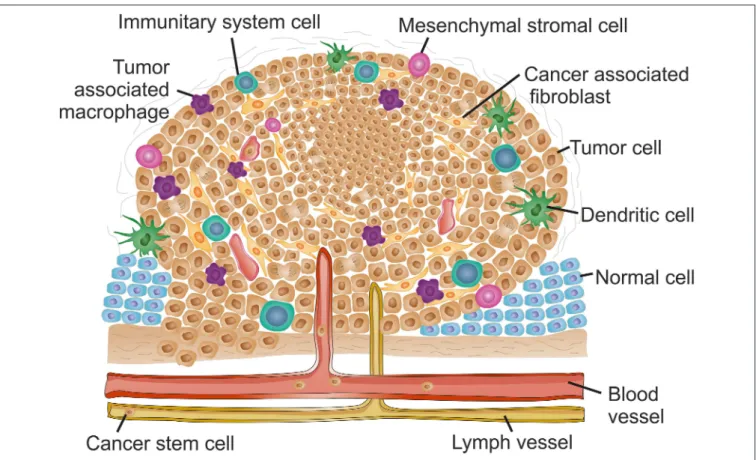 FIGURE 1 | The complex context of tumor microenvironment. Schematic reorientation highlighting the diversity of elements within the tumor micro-environment (TME)