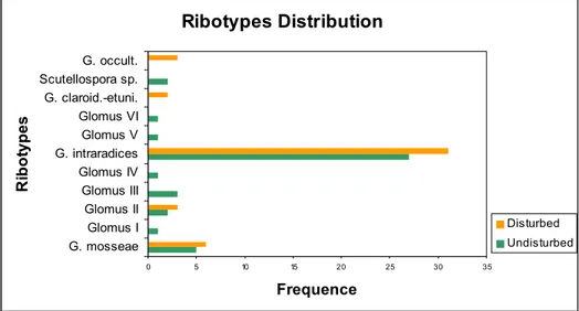 Fig. 4: Total ribotypes found in each type of soil and its frequencies. 