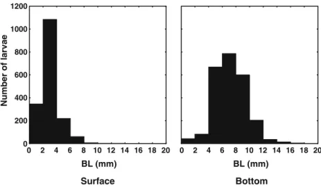 Fig. 4 Overall size class dis- dis-tribution of larvae caught at  the surface and bottom  sam-ples