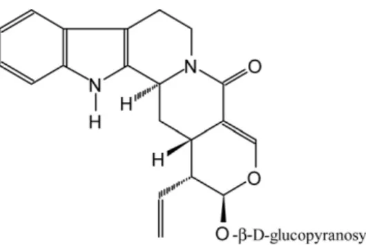 Fig. 1. Strictosamide—the (3␣,15␤,16␤,17␣)-21-oxo-16-vinil-19,20-dihydro- (3␣,15␤,16␤,17␣)-21-oxo-16-vinil-19,20-dihydro-oxoyoimban-17-il-␤- d glucopyranoside.