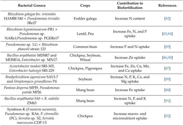 Table 2. Summary of studies showing the potential of some bacterial genera for legume biofortification.