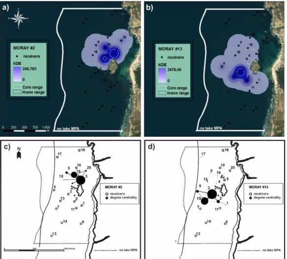 FIGURE  2.4  –  Example  of  a),  b)  Kernel  Density  Estimation  (KDE)  analysis  and  c),  d)  example  of  movement  patterns determined through network analysis for morays