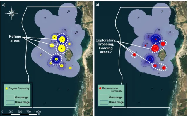FIGURE   2.6  – a) Refuge  areas and b) passageways/feeding areas  of morays according to KDE and  network analyses