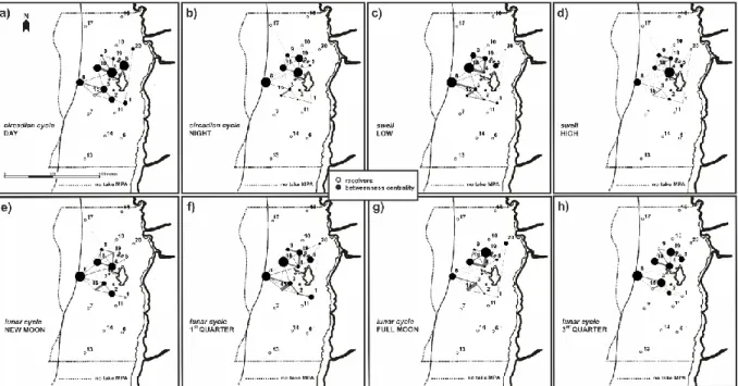 FIGURE 2.8 – Moray movement patterns determined by network analysis (C b ) according to a,b) circadian cycle, c,  d) swell and e-h) lunar cycle