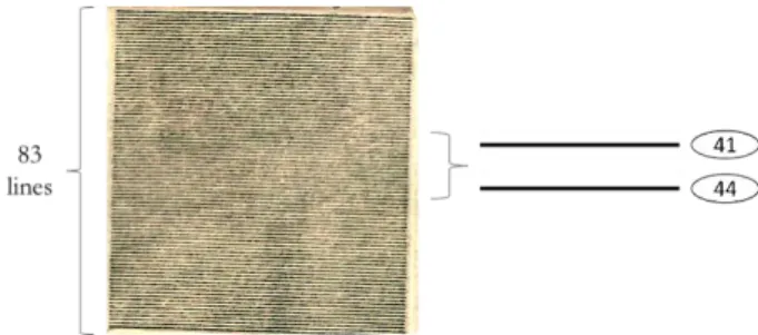 Figure  3.  Organic  plot  of  the  Herdade  dos  Pinheiros  vineyard  showing the lines that were sampled 