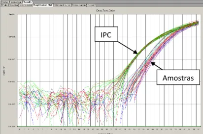 Figura  3.8-  Gráfico  de  amplificação  de  algumas  amostras  estudadas,  em  que  se  pode  verificar também a amplificação referente ao IPC