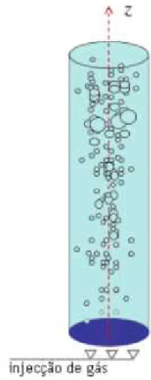 Figura 2 - Esquema de uma coluna de bolhas simples (Adaptado de [8]).