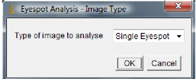 Figure 2: first input dialog for choosing the type of image to analyse. 