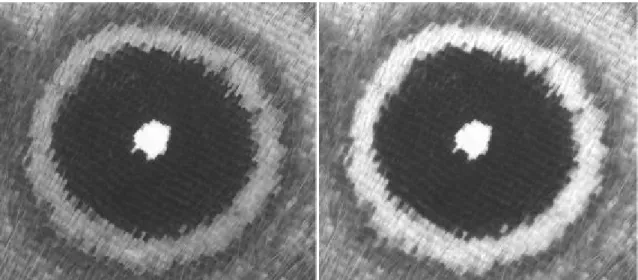 Figure 7: image with the skeletonized outlines of the binarized original image.  
