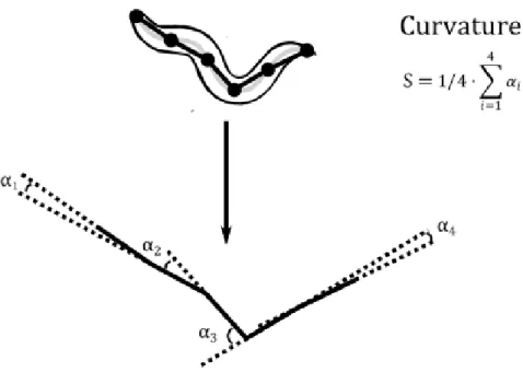 Figure 2.8 – Illustrative scheme of curvature, showing the four angles that are  averaged