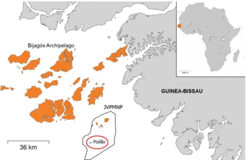 Figura 1. Localização da ilha de Poilão no Arquipélago dos Bijagós e no Parque  Nacional Marinho de João Vieira - Poilão (JVPMNP) na Guiné-Bissau