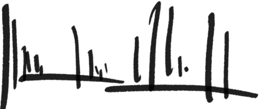 Figure 7 On Emptiness - Nature, author's drawing  67 
