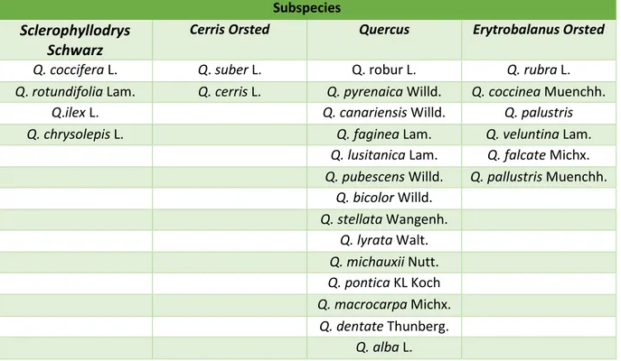 Table 1- Subspecies of Quercus, adapted from Franco (1971)  Subspecies  Sclerophyllodrys 