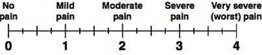 Figure 4 – Different representation of the NRS  (Adapted from http://www.animalpain.com.br/en- http://www.animalpain.com.br/en-us/escalas-unidimensionais.php) 