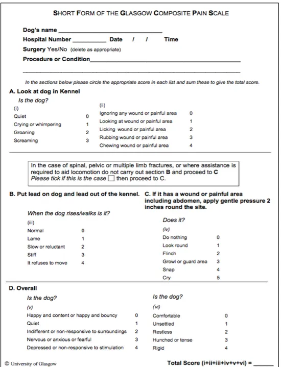 Figure 6 – Glasgow Short Form Composite Measure Pain Scale (CMPS-SF) for  assessment of acute pain in canine patients 