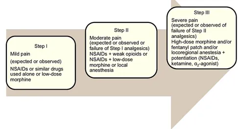 Figure 7 – WHO ladder pain management approach  (Adapted from Gogny, 2006) type  of  pain  (Gogny,  2006;  Gaynor,  2008;  Epstein  et  al,  2015)