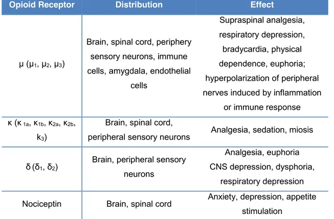Table 4 – Opioid receptors, distribution and effects (Adapted from Handbook of Veterinary  Pain Management, Gaynor &amp; Muir III, 3 rd  Edition, 2014) 