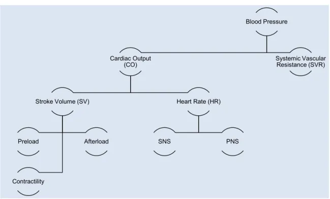 Figure 9 – Schematic representation of parameters involved in Cardiac Output and Blood  Pressure maintenance  (Adapted from Cooper, 2014) 
