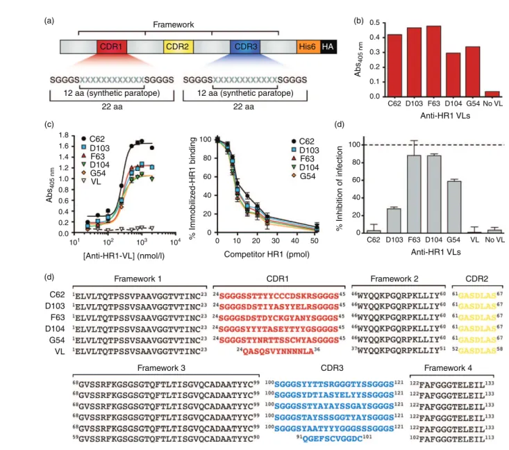 Fig. 1. Selection of anti-HIV VLs from the constructed synthetic library. (a) Schematic representation of VLs synthetic library