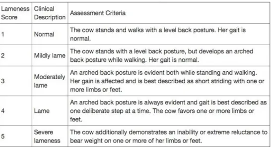 Table 1- Lameness scoring system (Sprecher et al., 1997). 