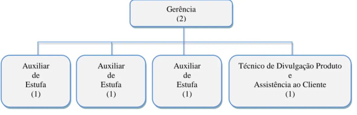 Figura 4 – Organigrama da empresa Rosas Santa Isabel 