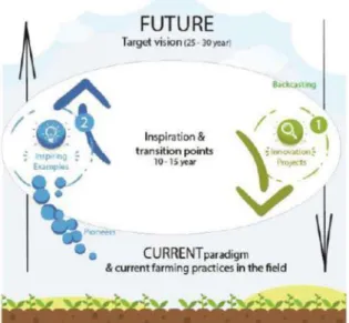 Figure  2:  Schematic  representation  of  the  two  transition  paths  (original  from:  Vogelezang  and  Wijnands 2011)