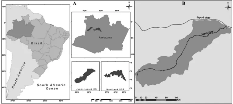 FIG. 1. (A) Study areas in Amazon: Juami-Japur a Ecological Station and Mamirau a Sustainable Development Reserve