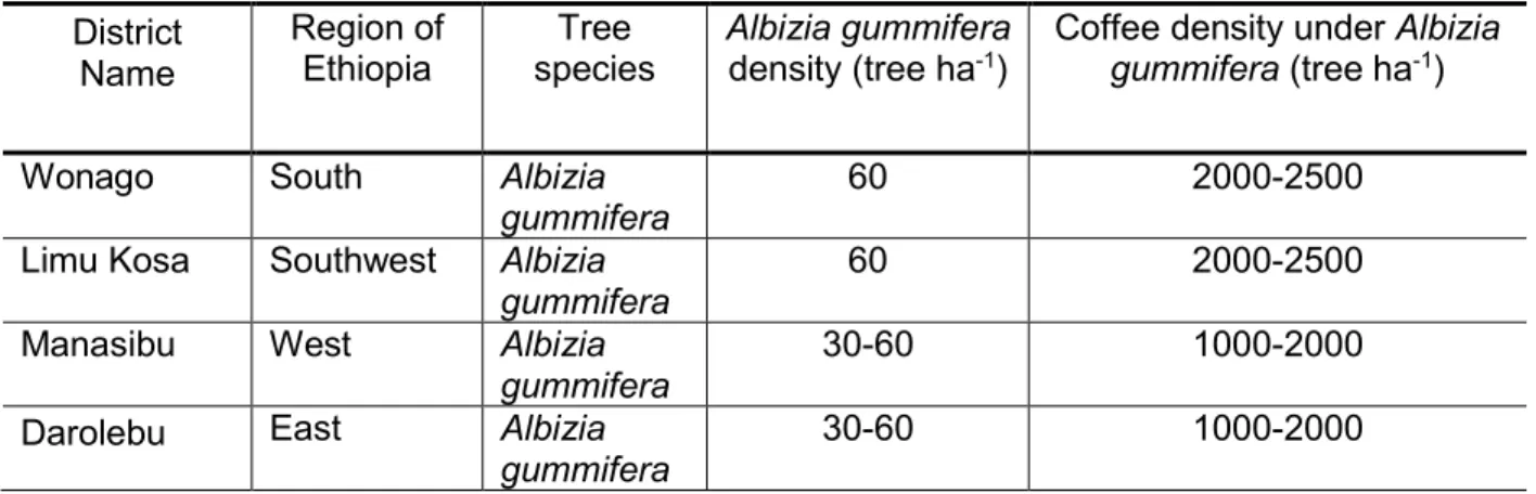 Table 3. Density of coffee tree growing under shade of Albizia gummifera tree in the  study districts  District  Name  Region of  Ethiopia  Tree  species  Albizia gummifera       density (tree ha-1) 