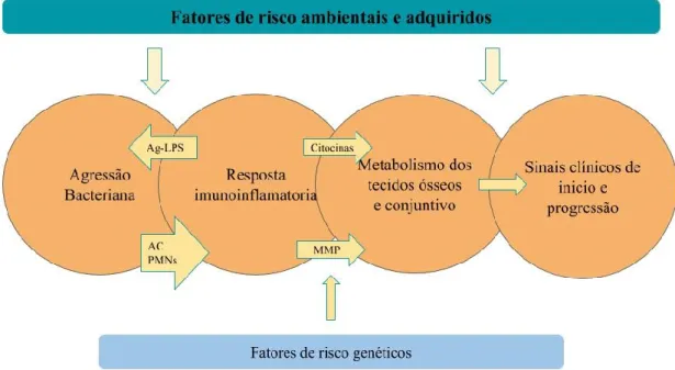 Figura 1: Modelo etiológico das doenças periodontais. Modificado de Faria Almeida et  al., 2013