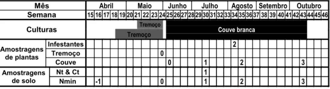 Figura 3 – Calendário do plano de amostragens para a 2ª experiência, em 2006 (Nt: N total no solo ; Ct: C  total no solo; Nmin: N mineral no solo).