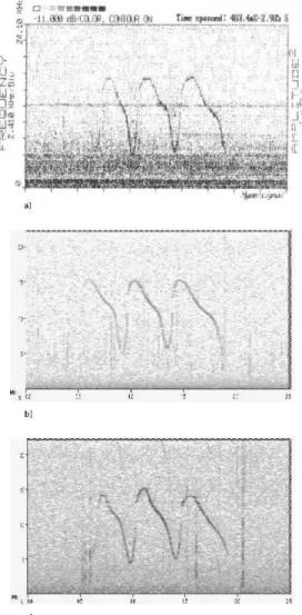 Figure  2  shows  the  mean  numbers  of  whistles  per min per dolphin separated by activity pattern
