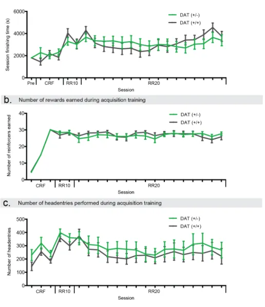 Figure 2.7 | DAT +/-  and DAT +/+  acquisition does not differ between experimental groups