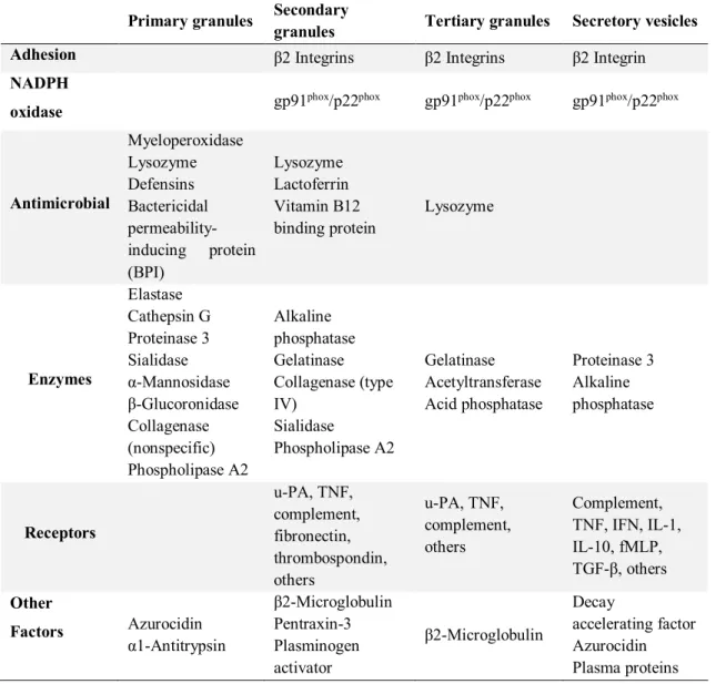 Table 3: Content of secretory granules and of secretory vesicles. Adapted from Hostetter (2012)