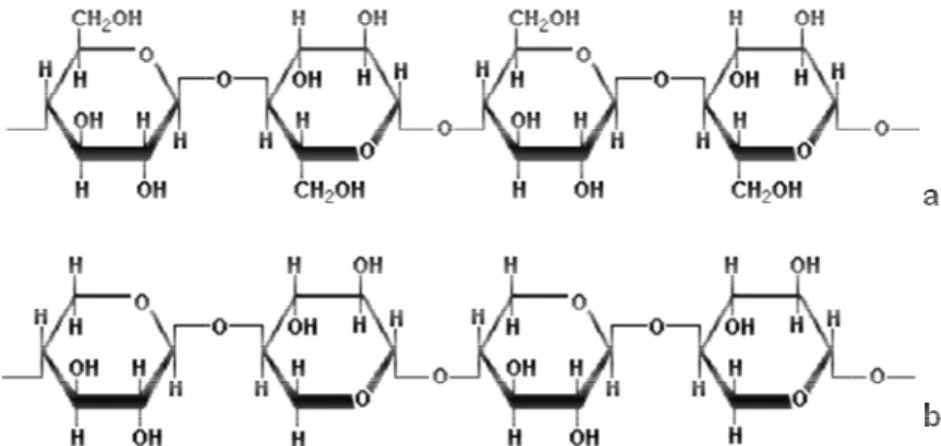Figura 1.3. Estrutura química da celulose (