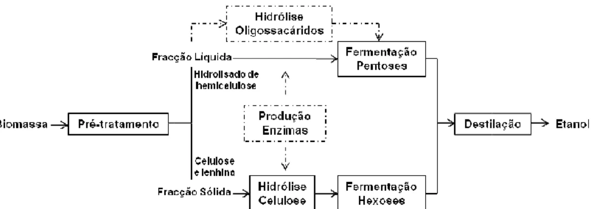 Figura  1.4.  Processos  de  produção  de  etanol  a 2010). 